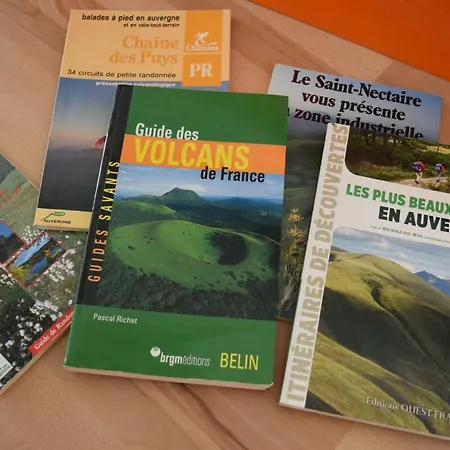 L'heureux Bazar Saint-Nectaire