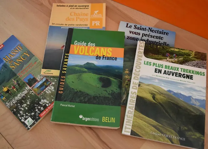 L'heureux Bazar Saint-Nectaire